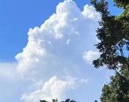 九龙天气预报,九龙7天天气预报,九龙15天天气预报,九龙天气查询